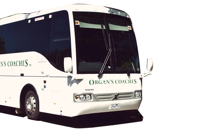 Bus